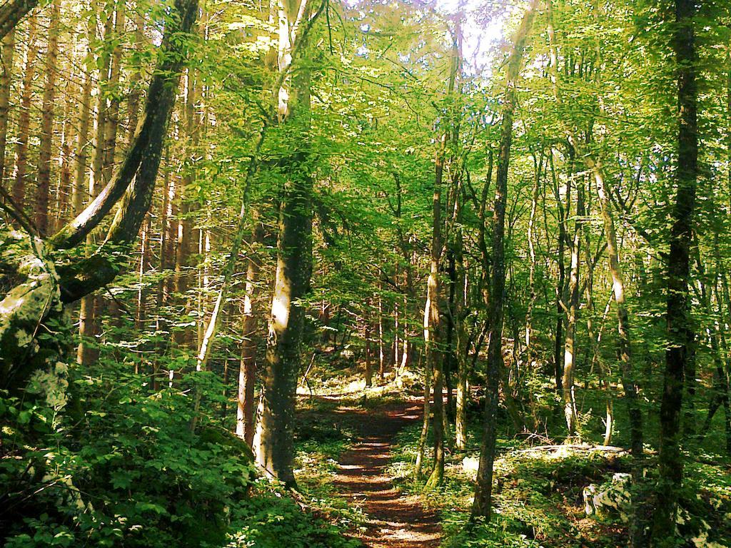 Rooms Jurca Postojna Buitenkant foto
